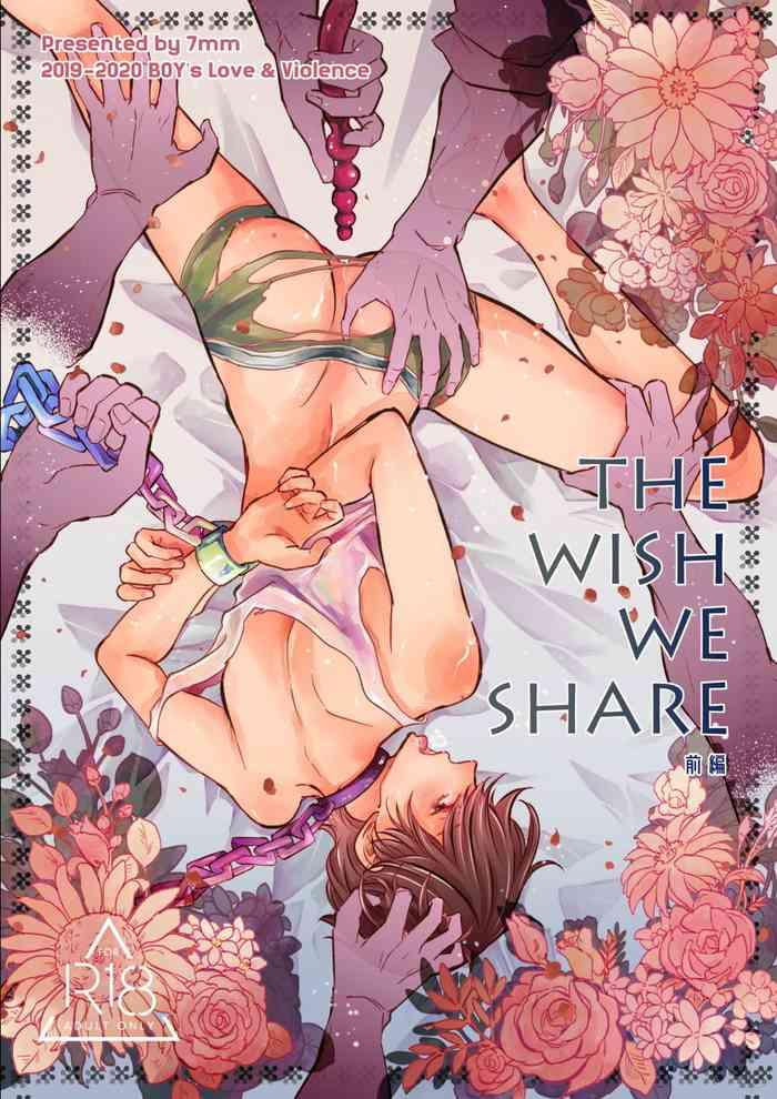 Solo Female The wish we share 01-05 Chinese Older Sister