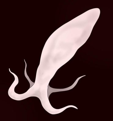 Dick Suckers Sperm Creature on Male Casa